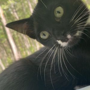 Meet your Posher, Austin